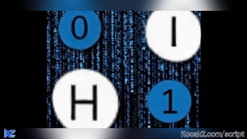 Project h0laria