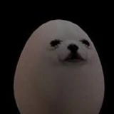 sigmasvinka6969