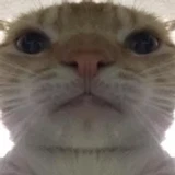 mrn_jr