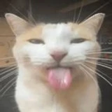 curoad69