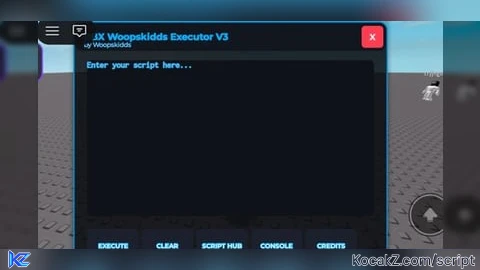 RBX Woopskidds Executor V3
