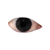 Laaw