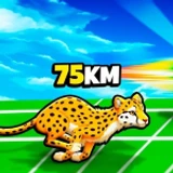 Running Simulator