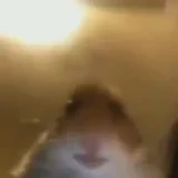 elmo