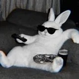 Xiterzz
