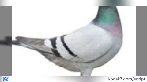 F3X obuscate de