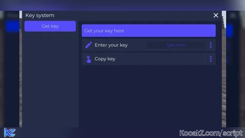 Key system with fake platoboost site