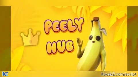 PEELY HUB V3