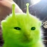 wenhlol