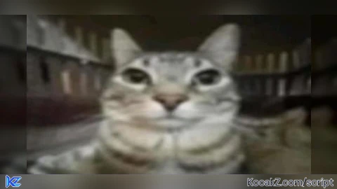 Largui