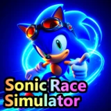 Sonic Race Simulator 💥⚡