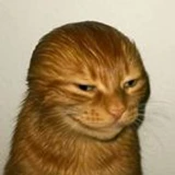 RDXRIHAN