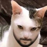 RobScripter
