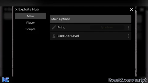 X Hub Beta V2