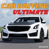 [WINDOW TINT] Car Driving Ultimate