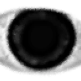 Xester