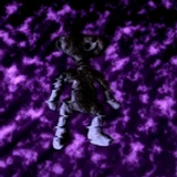 Bear_scripts
