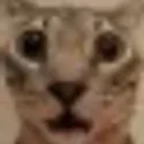 ykkrt