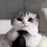 samuraa1