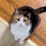 nowon
