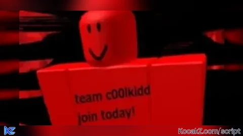 c00lkid fly v1