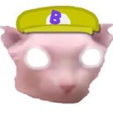 Bingus0us