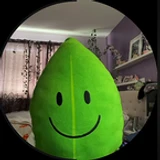 d4dmnefsa