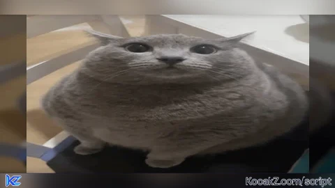 Mul*ool v1