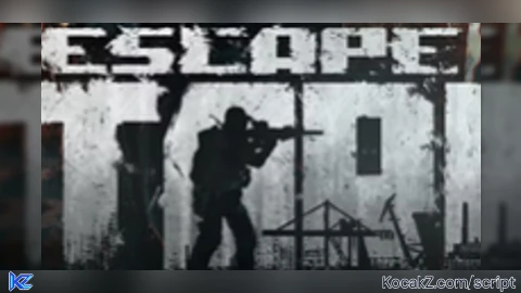 Tarkov Realism script