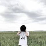 mizcanscripts