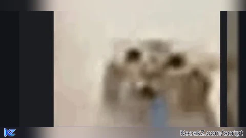 Spinning cube