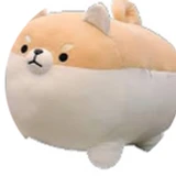 ueyr7yyrr