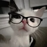 SnakesHub
