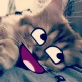 KMAN