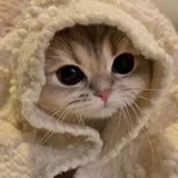 kitkat_