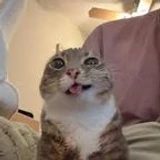 zyxskidd
