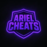 Arielservices