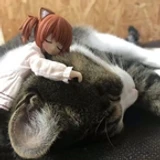 tailsync