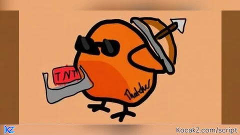 Birb Anticheat Bypass