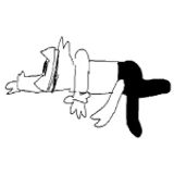 (closed) unofficial animal hospital roleplay