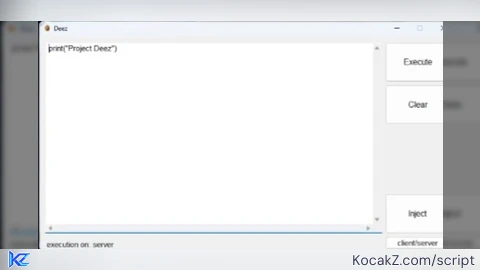 Deez executor scripts client