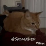 o6xi_k