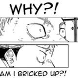 yujibrickedup