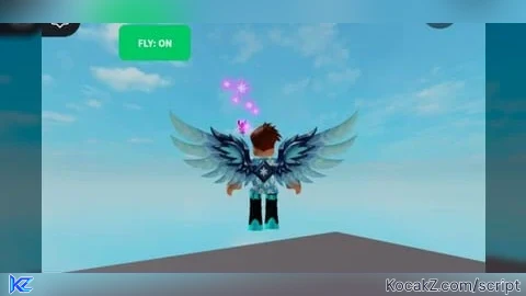 MY OWN FLY GUI