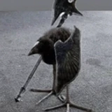 rickkj69