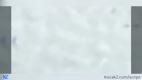 Fake Silent Aim Visual FOV Troll Friends if u have good aim
