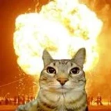SuperCat