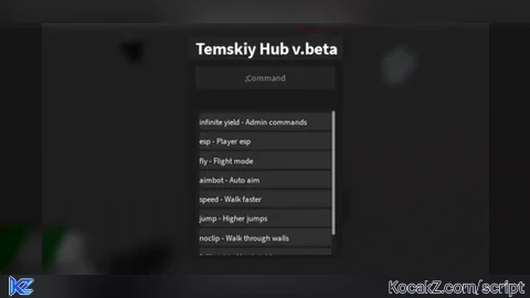 TH Temskiy Hub