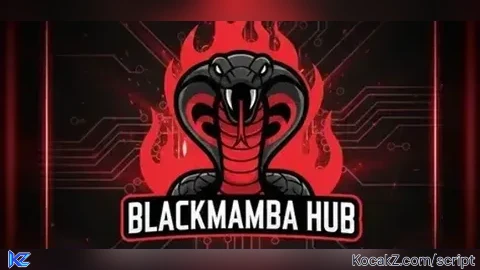 Black Mamba Hub Op Features