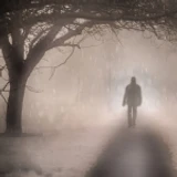 The Fog icon
